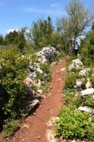 Rando du Sud Larzac0012 @CDRP34 ©CDRP34